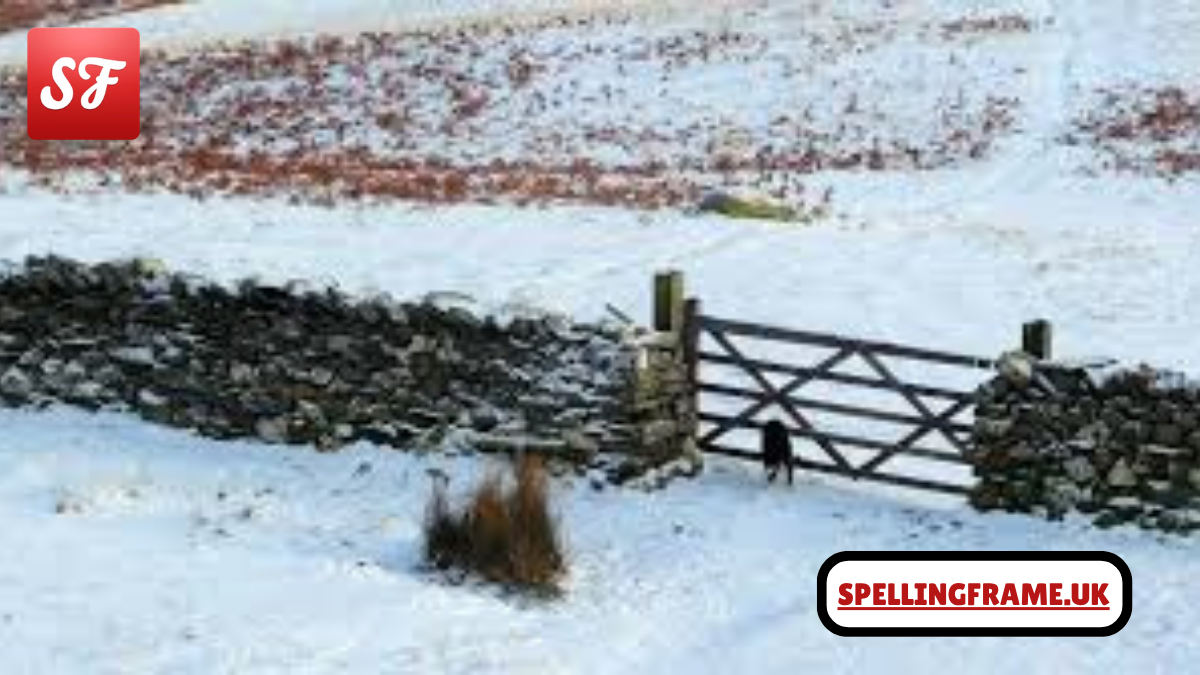 Sale Fell Cockermouth